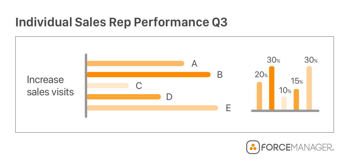 individual sales rep performance report