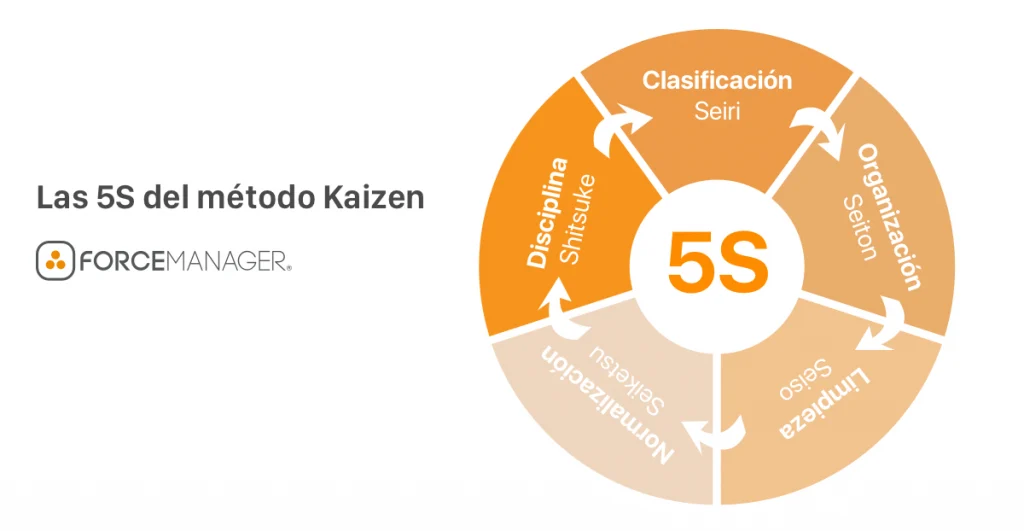Proceso circular de las 5S del método Kaizen en las empresas.